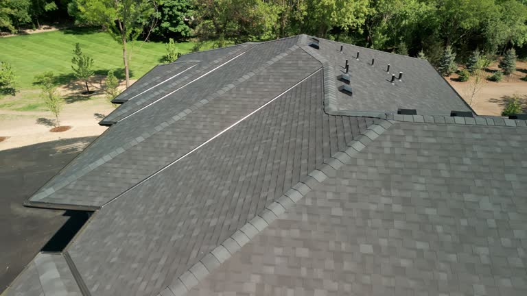 Best Solar Panel Roofing Installation  in Camden, TN