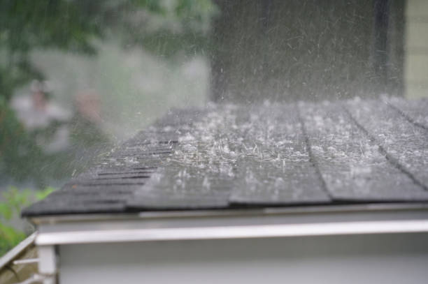 Best Flat Roofing  in Camden, TN