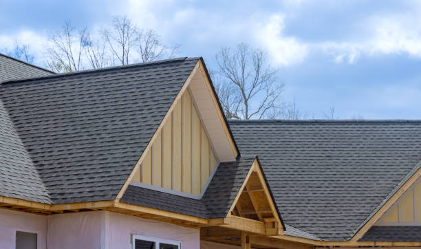 Best Storm Damage Roof Repair  in Camden, TN